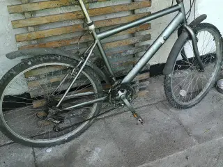 cykel 