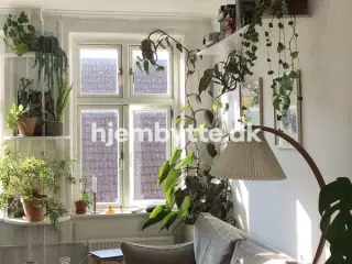 Hjembytte - Slotsgade