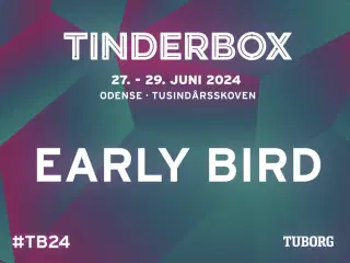 Tinderbox 2024 Partout billet (Early Bird)