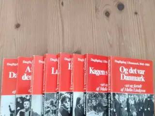 Malin Lindgren Dagligdag i Danmark, 1945-1985. 
