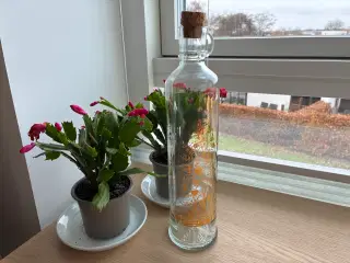 Kalenderflaske, Juletræ, guld - Holmegaard