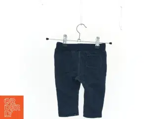 Bukser fra Tommy Hilfiger (str. 74 cm)