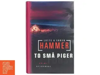 To små piger : krimi af Lotte Hammer (Bog)