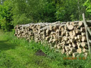 brænde til brændeovn
