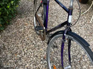 Cykler