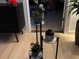 Planteopsats hylder 