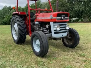 MF135