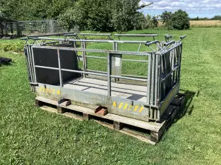 Mandskabskurv