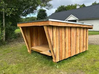 Shelter