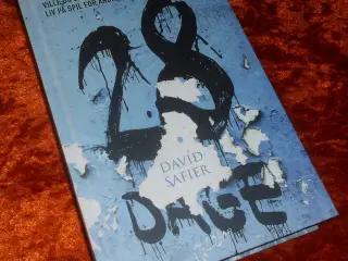 28 dage, David Safier,