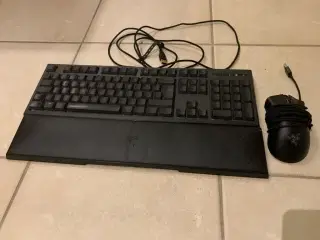Ornata Chroma tastatur med mus