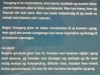 Stavgang-alt om udstyr, teknik, træning 