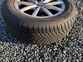 FÆLGE (ORG. AUDI) MED NYE DÆK 225 / 60 R17 103V