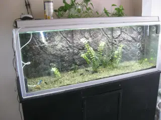 525 L Akvarie med med bord