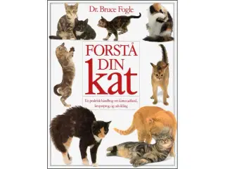 Forstå din Kat