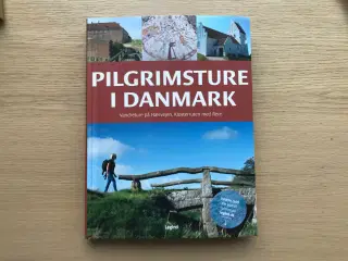 Pilgrimsture i Danmark