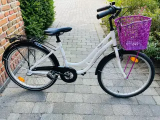 24” shopper pigecykel