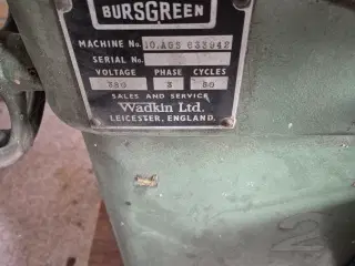 Rundsav Wadkin Bursgreen