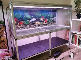 Akvarium og tilbehør.