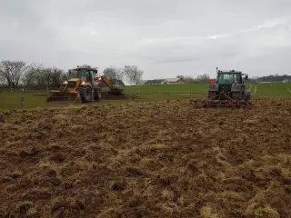Etablering af hestefolde - ridebane - velligeholde