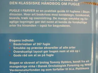 fugle i farver inkl. cd, af tommy dybbro. ill. af 