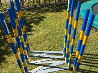 Callieway agility-slalom