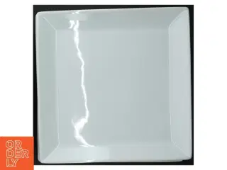 Hvide firkantede tallerkner fra Aida 6 stk (str. 26,5 x 26,5 cm)