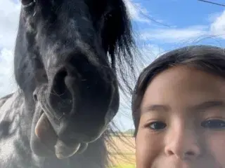 Søger bundstabil børnepony🐴