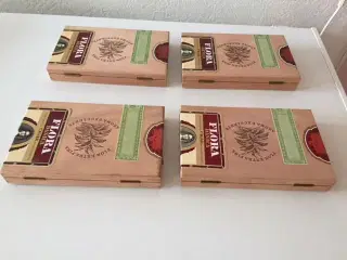 cigar æsker i træ