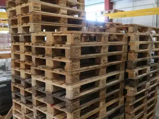Div. Paller