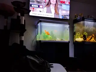 240 L + 160 L og ALT tilbehør og mange maller 
