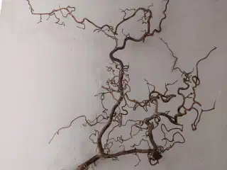 Troldegren