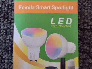 WiFi Fcmila Smart Spotlight 