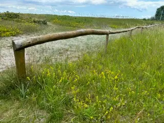 Robinie natur stolper - pæle