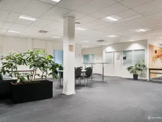 Kontor i attraktivt kontormiljø