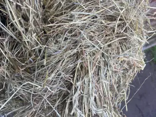 Wrap hø