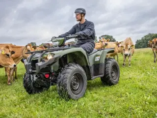 Yamaha Kodiak 450 Demomodel EPS Traktor (Electric Power Steering)