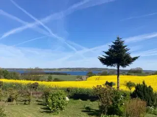 Helgenæs - Hus Sælges