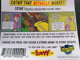 Catnip katte urter