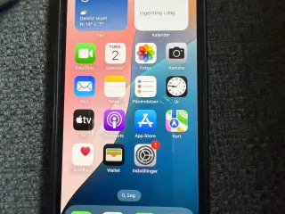 iPhone 12 mini 