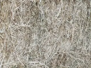 Hø