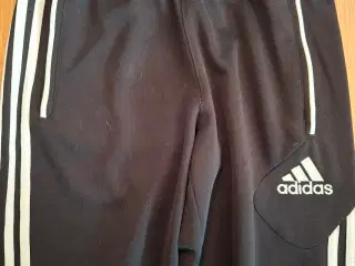 Adidas Sportsbuker "ClimaCool"