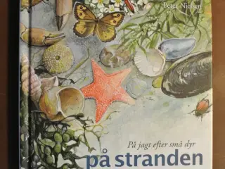 på jagt efter små dyr på stranden, af peter nielse