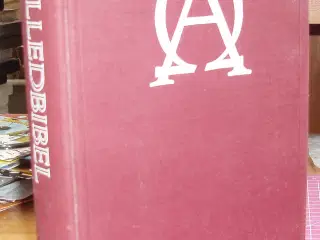 Billedbibel af Anna Sophie Seidelin