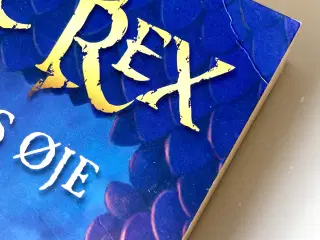 Erec Rex: Dragens Øje, Kaza Kingsley