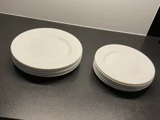 Tallerkner