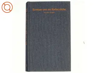 Roman om en forbrydelse, 2.bind, manden som gik op i røg