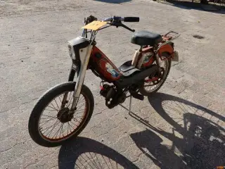 KNALLERT, Peugeo