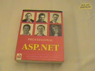 ASP.NET Programmering