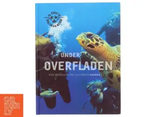 Under overfladen af Alfred Midé Erichsen (Bog)